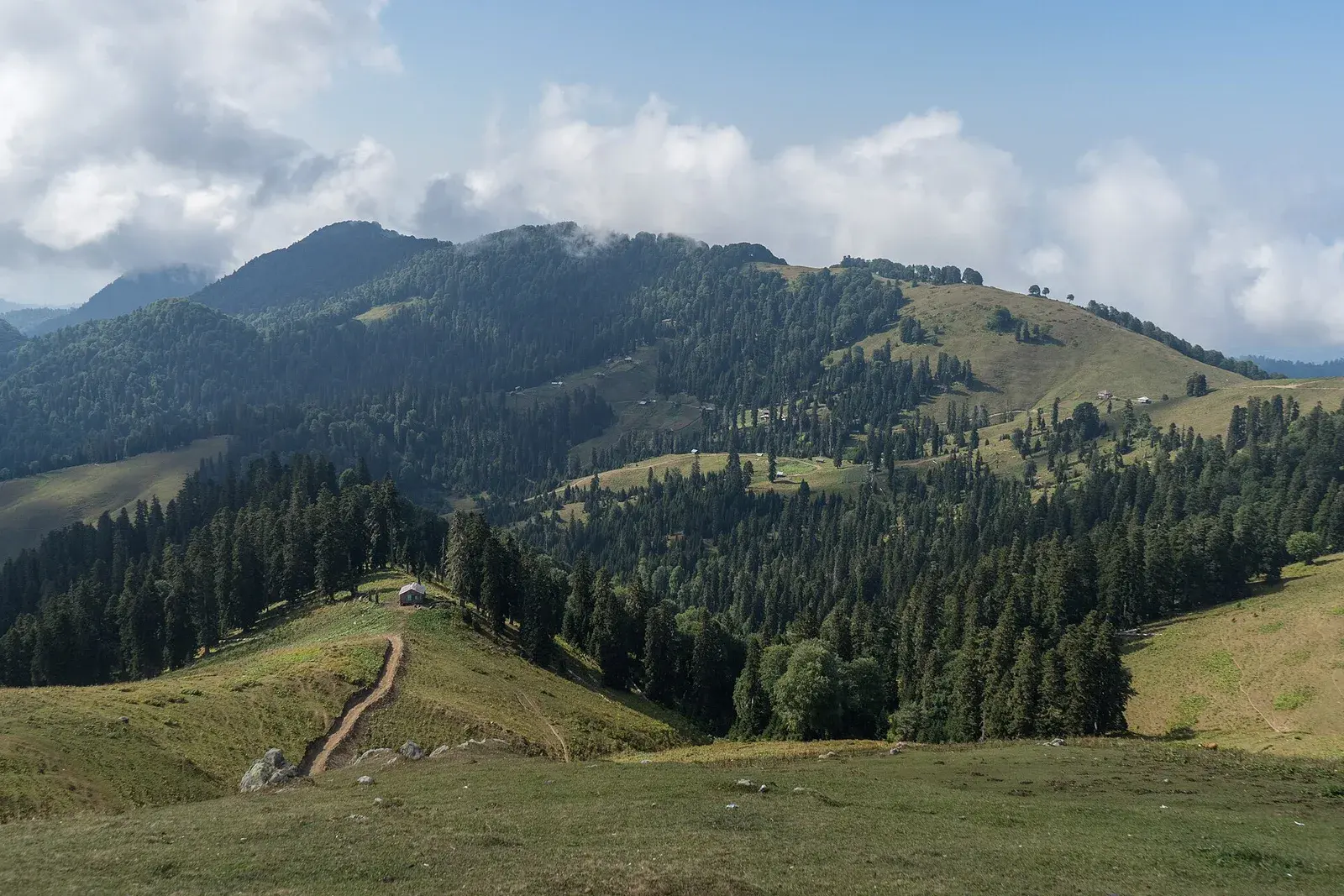 Gomis Mta — A Walk Above the Clouds