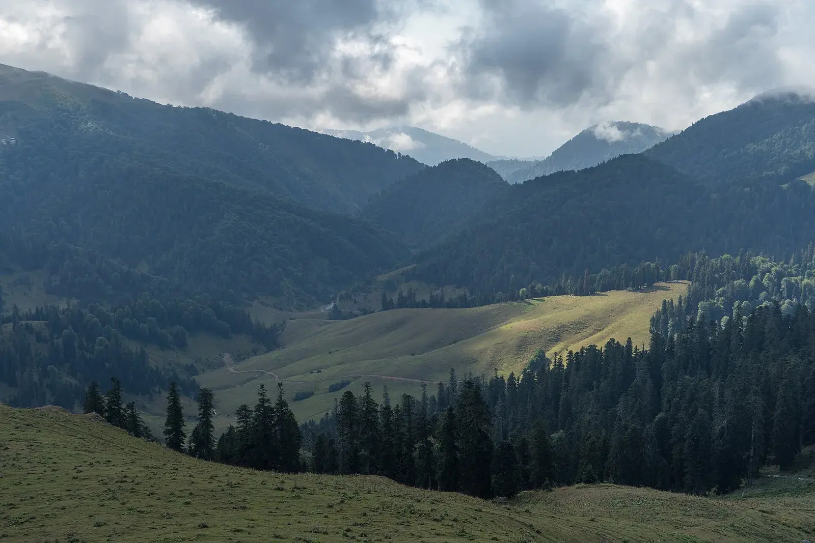 Gomis Mta — A Walk Above the Clouds — 2