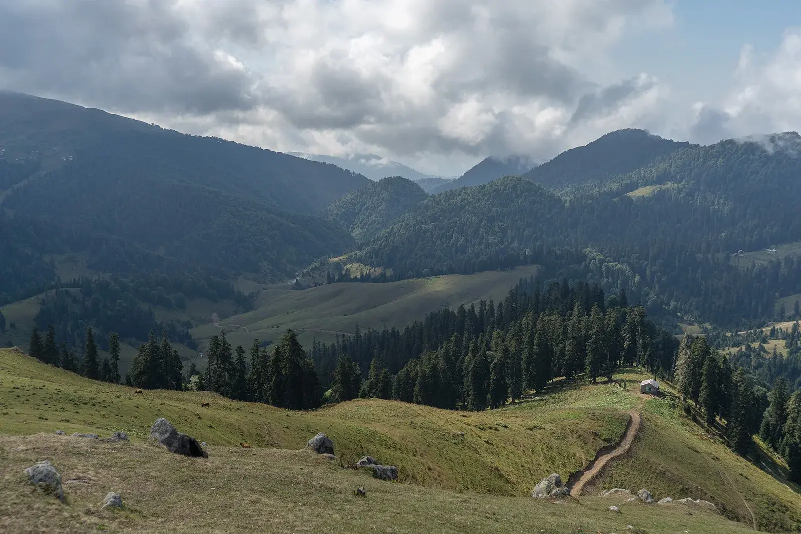 Gomis Mta — A Walk Above the Clouds — 4