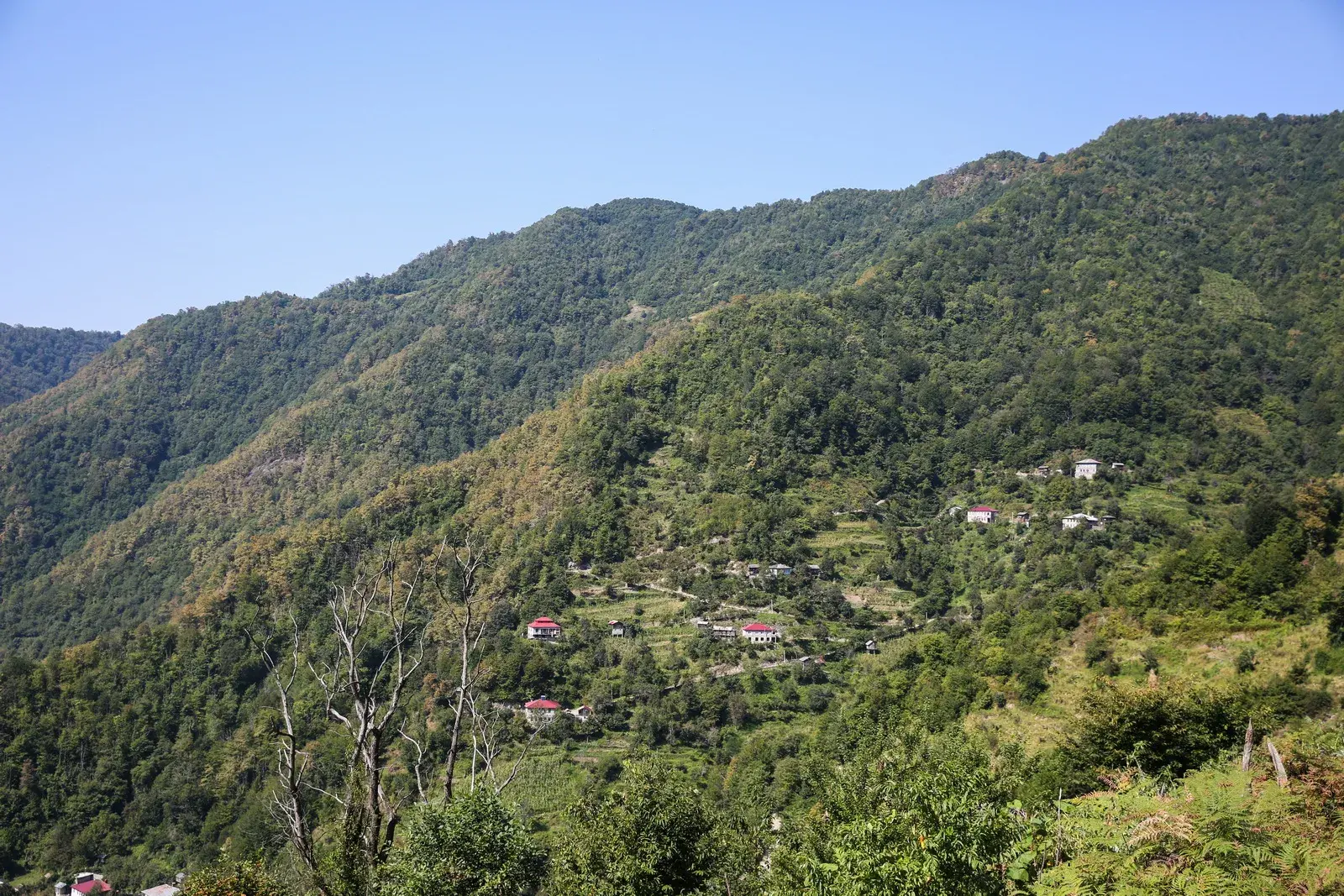 Machakhela Valley — 4