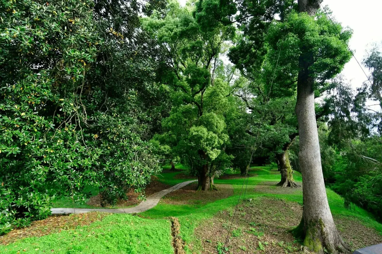 Shekvetili Dendrological Park and Ureki Beach